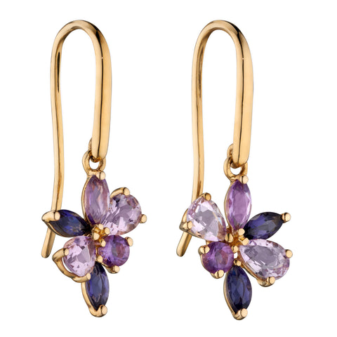 Amethyst & Iolite Earrings in 9ct Yellow Gold