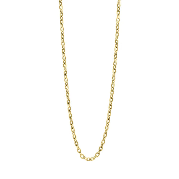 Gold Plated Stainless Steel Neckchain by Fred Bennett